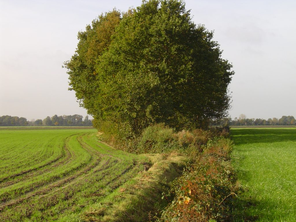 Beheerpakketten klimaatbeheergebied